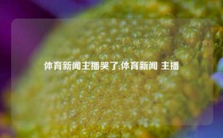 体育新闻主播哭了,体育新闻 主播