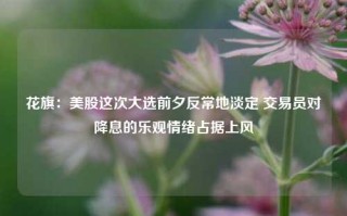 花旗：美股这次大选前夕反常地淡定 交易员对降息的乐观情绪占据上风