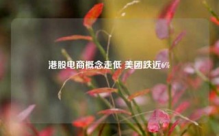 港股电商概念走低 美团跌近6%