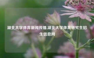 湖北大学体育新闻传播,湖北大学体育研究生招生信息网