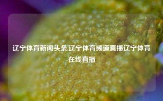 辽宁体育新闻头条,辽宁体育频道直播辽宁体育在线直播