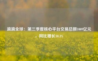 滴滴全球：第三季度核心平台交易总额1009亿元，同比增长10.3%