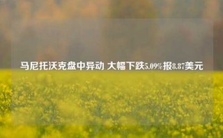 马尼托沃克盘中异动 大幅下跌5.09%报8.87美元