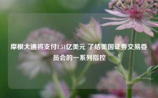 摩根大通将支付1.51亿美元 了结美国证券交易委员会的一系列指控