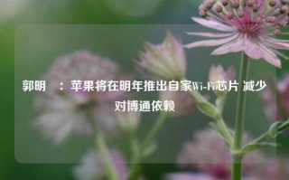 郭明錤：苹果将在明年推出自家Wi-Fi芯片 减少对博通依赖