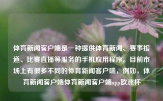 体育新闻客户端是一种提供体育新闻、赛事报道、比赛直播等服务的手机应用程序。目前市场上有很多不同的体育新闻客户端，例如，体育新闻客户端体育新闻客户端app欧洲杯