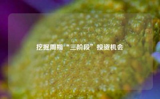 挖掘周期“三阶段”投资机会