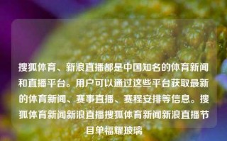 搜狐体育、新浪直播都是中国知名的体育新闻和直播平台。用户可以通过这些平台获取最新的体育新闻、赛事直播、赛程安排等信息。搜狐体育新闻新浪直播搜狐体育新闻新浪直播节目单福耀玻璃