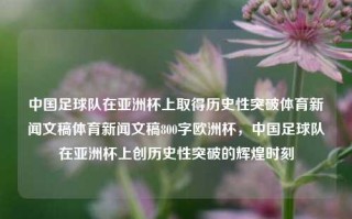 中国足球队在亚洲杯上取得历史性突破体育新闻文稿体育新闻文稿800字欧洲杯，中国足球队在亚洲杯上创历史性突破的辉煌时刻，中国足球队在亚洲杯上创历史性突破的辉煌时刻