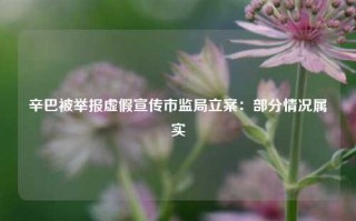 辛巴被举报虚假宣传市监局立案：部分情况属实