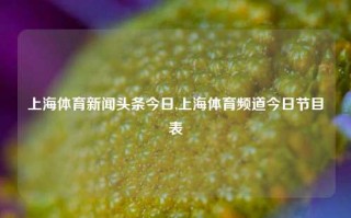 上海体育新闻头条今日,上海体育频道今日节目表