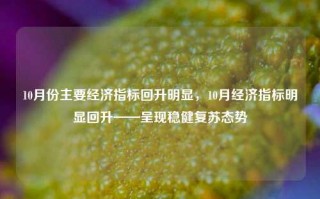 10月份主要经济指标回升明显，10月经济指标明显回升——呈现稳健复苏态势