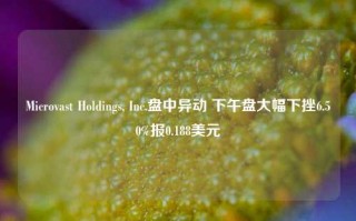 Microvast Holdings, Inc.盘中异动 下午盘大幅下挫6.50%报0.188美元