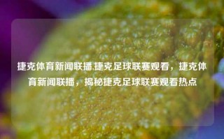 捷克体育新闻联播,捷克足球联赛观看，捷克体育新闻联播，揭秘捷克足球联赛观看热点