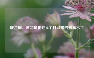 联合国：食品价格达18个月以来的最高水平