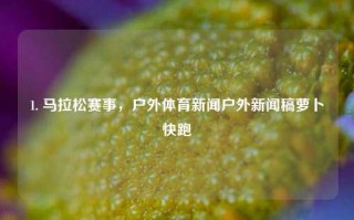 1. 马拉松赛事，户外体育新闻户外新闻稿萝卜快跑