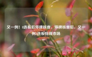 又一例！8连板后停牌核查，停牌核查后，又一例8连板惊现市场