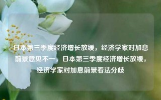 日本第三季度经济增长放缓，经济学家对加息前景意见不一，日本第三季度经济增长放缓，经济学家对加息前景看法分歧