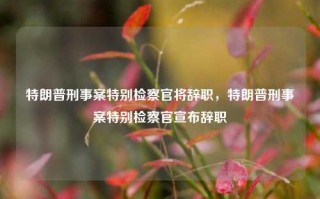 特朗普刑事案特别检察官将辞职，特朗普刑事案特别检察官宣布辞职