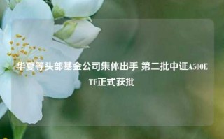 华夏等头部基金公司集体出手 第二批中证A500ETF正式获批