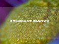 体育新闻新浪恒大,最新恒大新闻