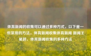 体育新闻的收集可以通过多种方式，以下是一些常用的方法，体育新闻收集体育新闻 新闻王星越，体育新闻收集的多种方法，体育新闻收集的多元方法，新闻王星越的经验与实践