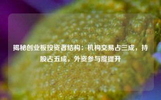 揭秘创业板投资者结构：机构交易占三成，持股占五成，外资参与度提升