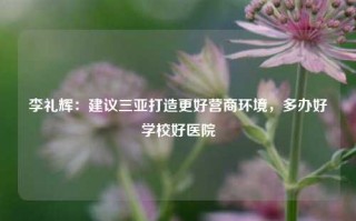 李礼辉：建议三亚打造更好营商环境，多办好学校好医院