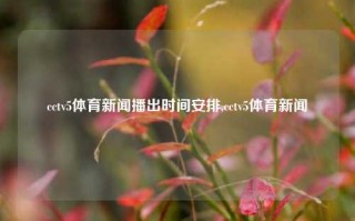 cctv5体育新闻播出时间安排,cctv5体育新闻