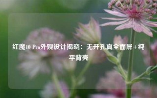 红魔10 Pro外观设计揭晓：无开孔真全面屏+纯平背壳