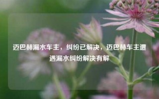 迈巴赫漏水车主，纠纷已解决，迈巴赫车主遭遇漏水纠纷解决有解