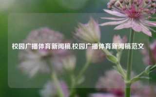 校园广播体育新闻稿,校园广播体育新闻稿范文