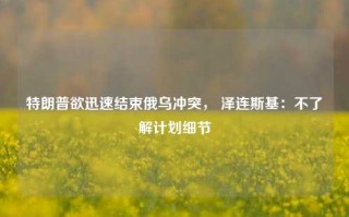 特朗普欲迅速结束俄乌冲突， 泽连斯基：不了解计划细节