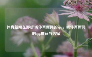 体育新闻在哪听,听体育新闻的app，听体育新闻的app推荐与选择