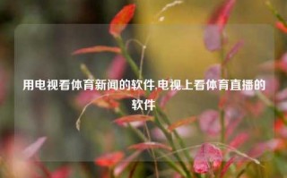 用电视看体育新闻的软件,电视上看体育直播的软件