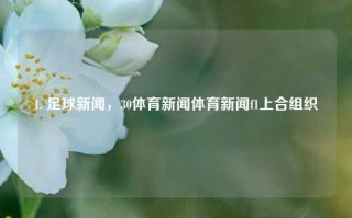 1. 足球新闻，30体育新闻体育新闻f1上合组织