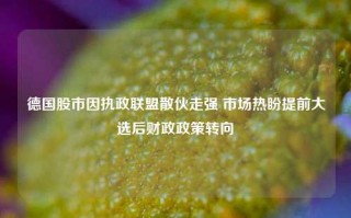 德国股市因执政联盟散伙走强 市场热盼提前大选后财政政策转向