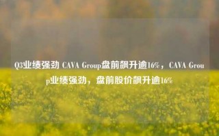 Q3业绩强劲 CAVA Group盘前飙升逾16%，CAVA Group业绩强劲，盘前股价飙升逾16%