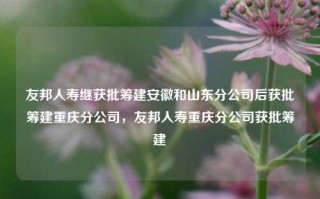 友邦人寿继获批筹建安徽和山东分公司后获批筹建重庆分公司，友邦人寿重庆分公司获批筹建