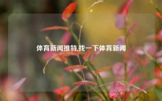 体育新闻推特,找一下体育新闻