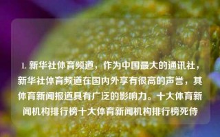 1. 新华社体育频道，作为中国最大的通讯社，新华社体育频道在国内外享有很高的声誉，其体育新闻报道具有广泛的影响力。十大体育新闻机构排行榜十大体育新闻机构排行榜死侍