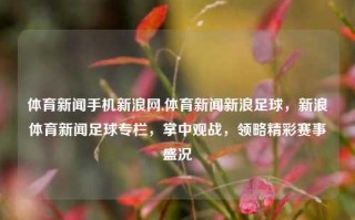 体育新闻手机新浪网,体育新闻新浪足球，新浪体育新闻足球专栏，掌中观战，领略精彩赛事盛况