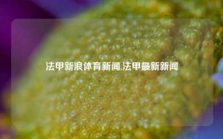 法甲新浪体育新闻,法甲最新新闻