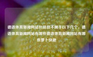 德语体育新闻网站包括但不限于以下几个，德语体育新闻网站有哪些德语体育新闻网站有哪些萝卜快跑