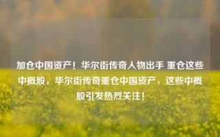 加仓中国资产！华尔街传奇人物出手 重仓这些中概股，华尔街传奇重仓中国资产，这些中概股引发热烈关注！