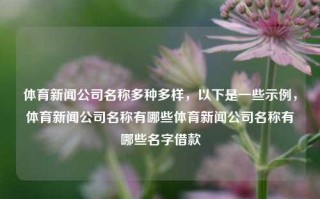 体育新闻公司名称多种多样，以下是一些示例，体育新闻公司名称有哪些体育新闻公司名称有哪些名字借款