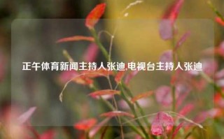 正午体育新闻主持人张迪,电视台主持人张迪