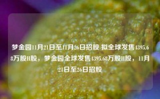 梦金园11月21日至11月26日招股 拟全球发售4395.68万股H股，梦金园全球发售4395.68万股H股，11月21日至26日招股