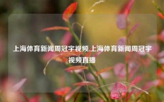 上海体育新闻周冠宇视频,上海体育新闻周冠宇视频直播