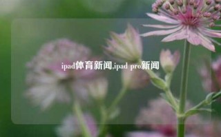 ipad体育新闻,ipad pro新闻